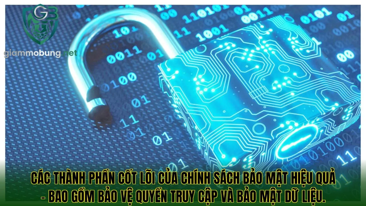 Các thành phần cốt lõi của chính sách bảo mật hiệu quả – bao gồm bảo vệ quyền truy cập và bảo mật dữ liệu.