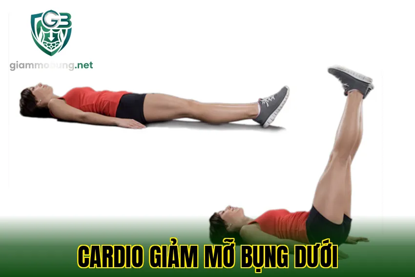 Cardio giảm mỡ bụng dưới
