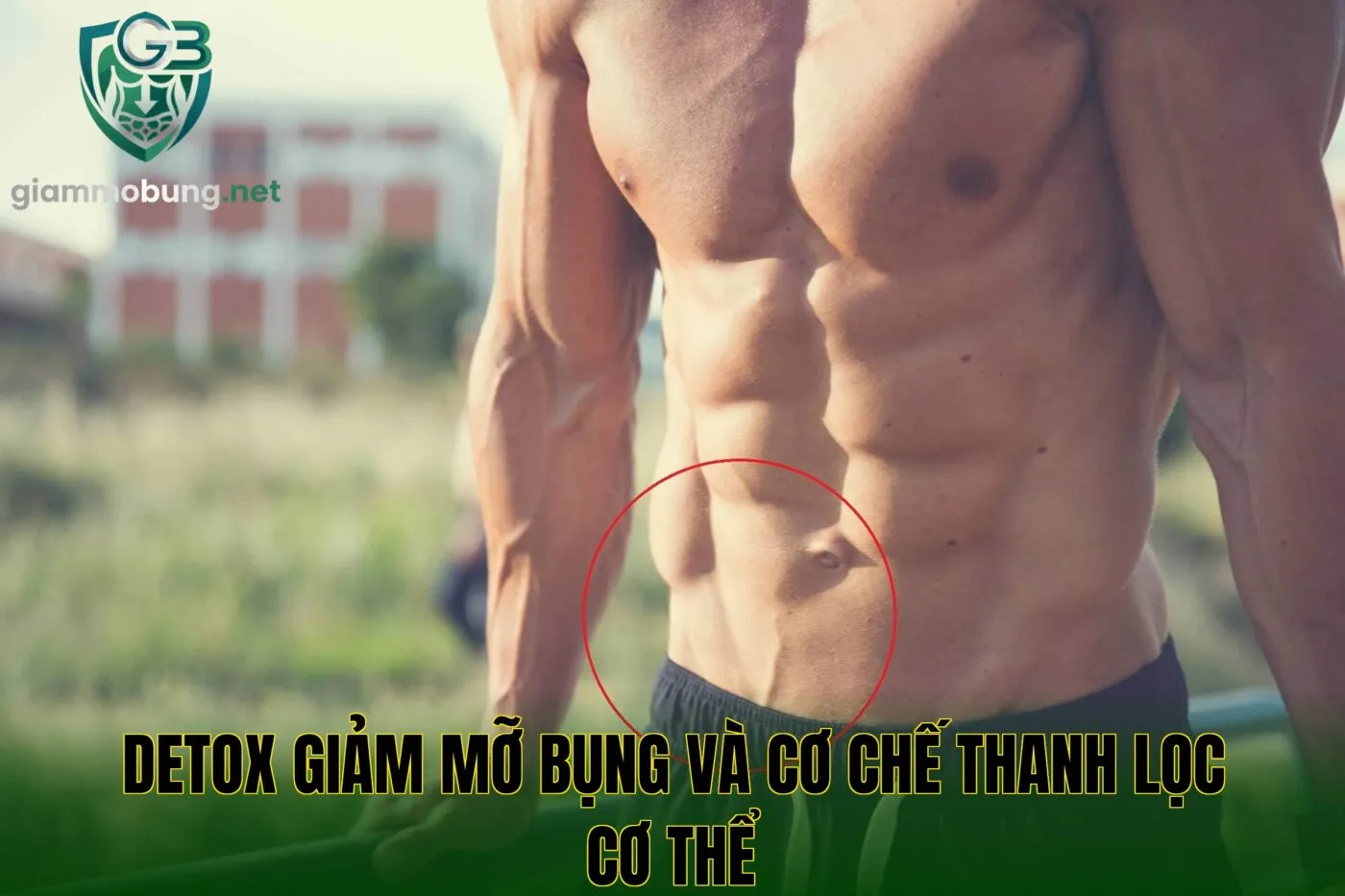 Detox giảm mỡ bụng và cơ chế thanh lọc cơ thể