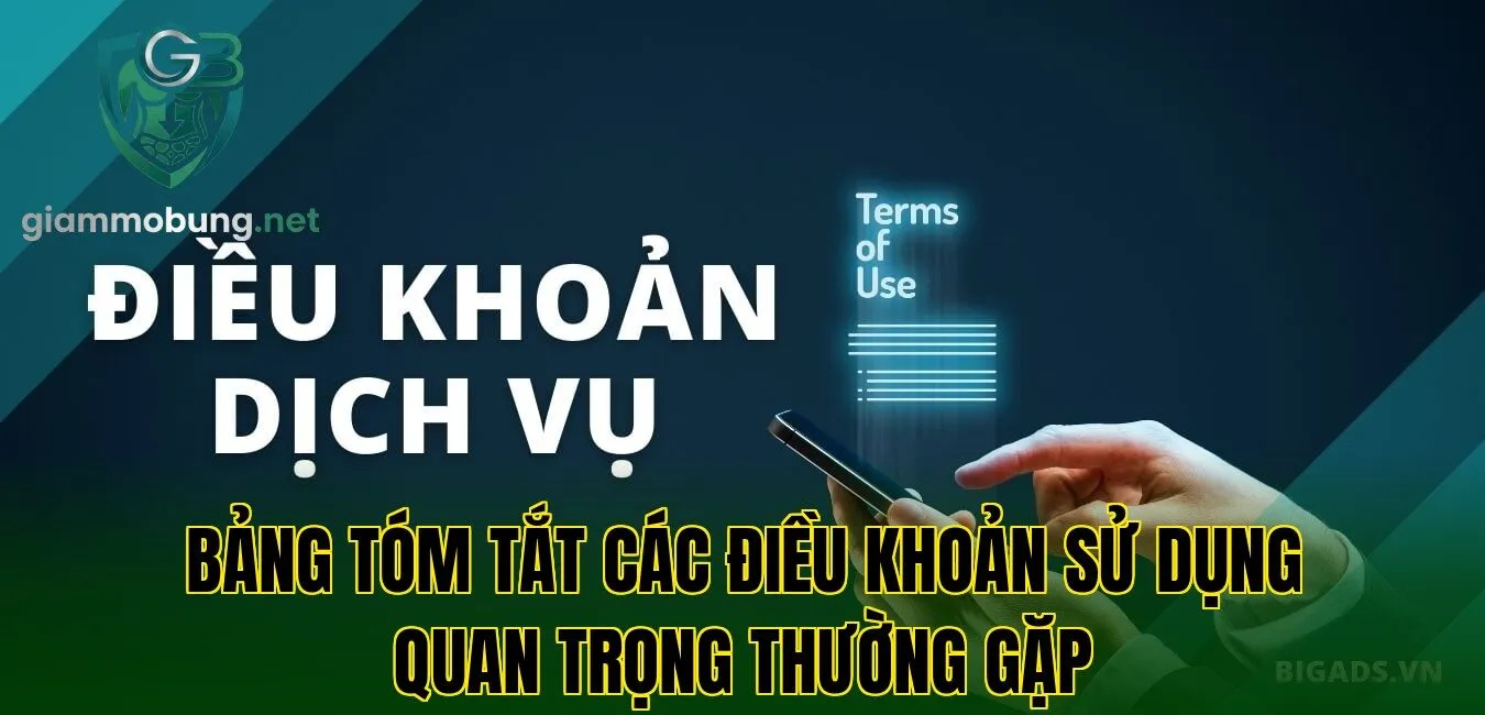 Bảng tóm tắt các điều khoản sử dụng quan trọng thường gặp
