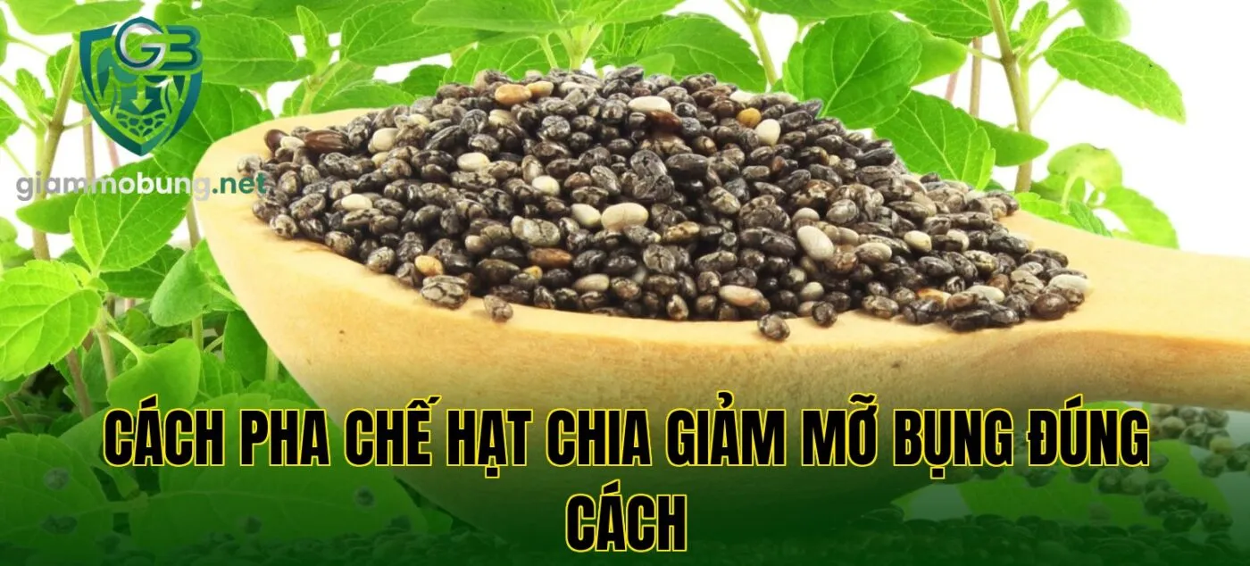 Cách pha chế hạt chia giảm mỡ bụng đúng cách