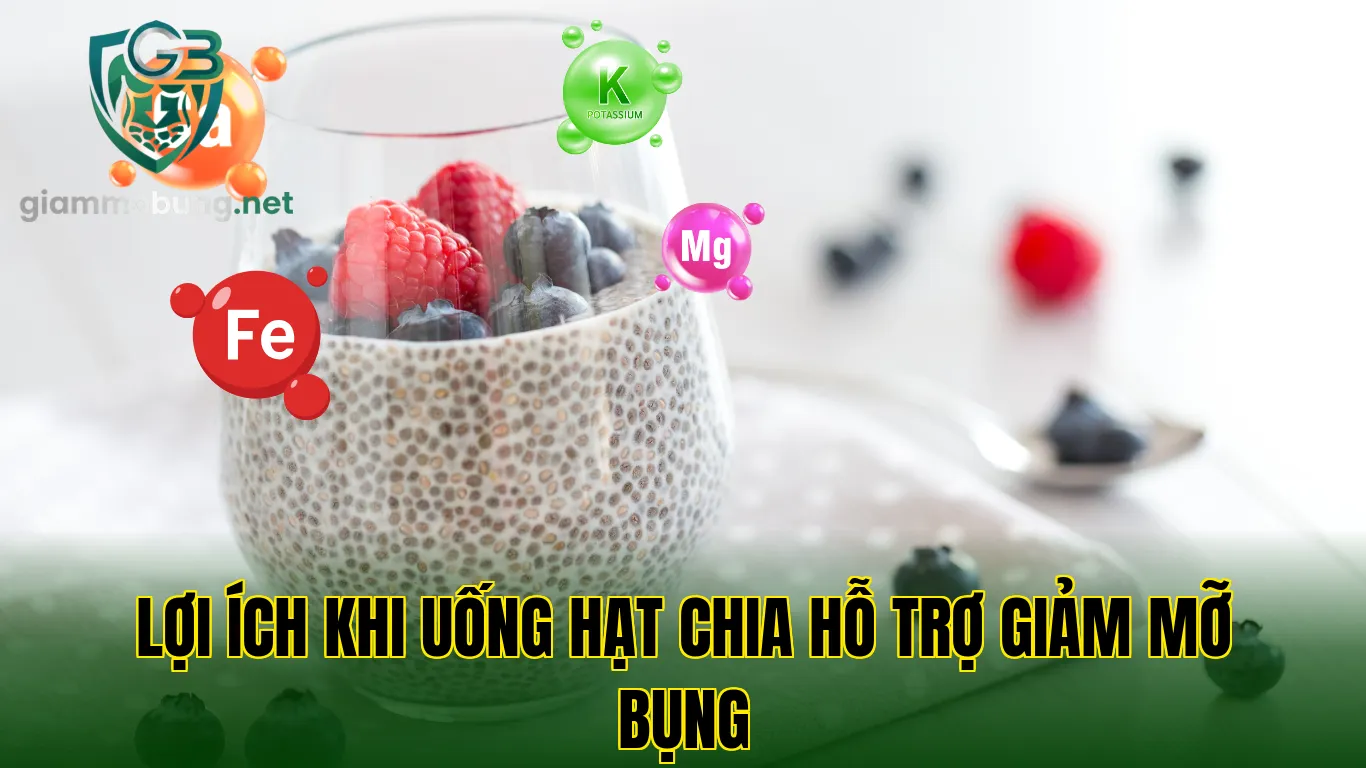 Lợi ích khi uống hạt chia hỗ trợ giảm mỡ bụng