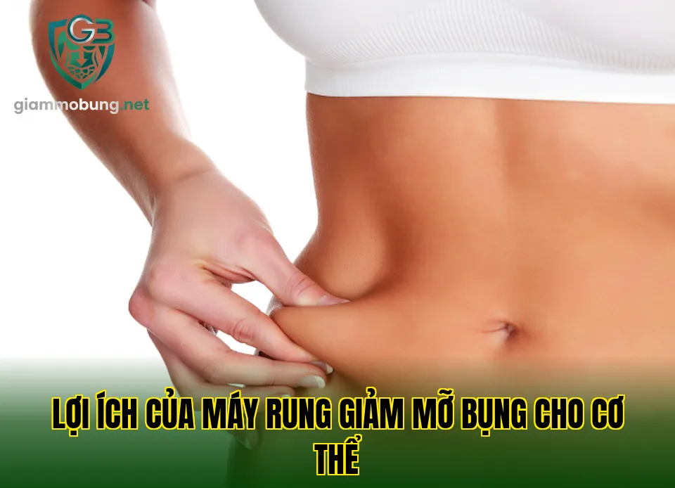 Lợi ích của máy rung giảm mỡ bụng cho cơ thể
