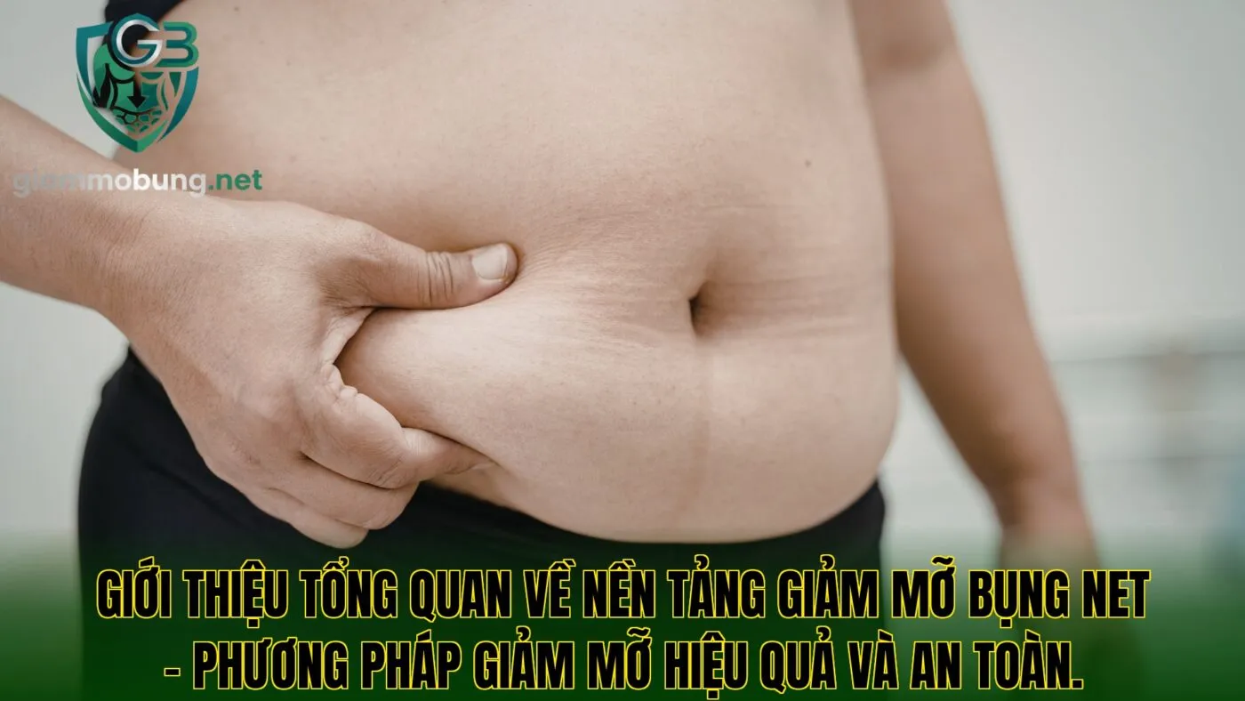 Giới thiệu tổng quan về nền tảng giảm mỡ bụng Net – phương pháp giảm mỡ hiệu quả và an toàn.