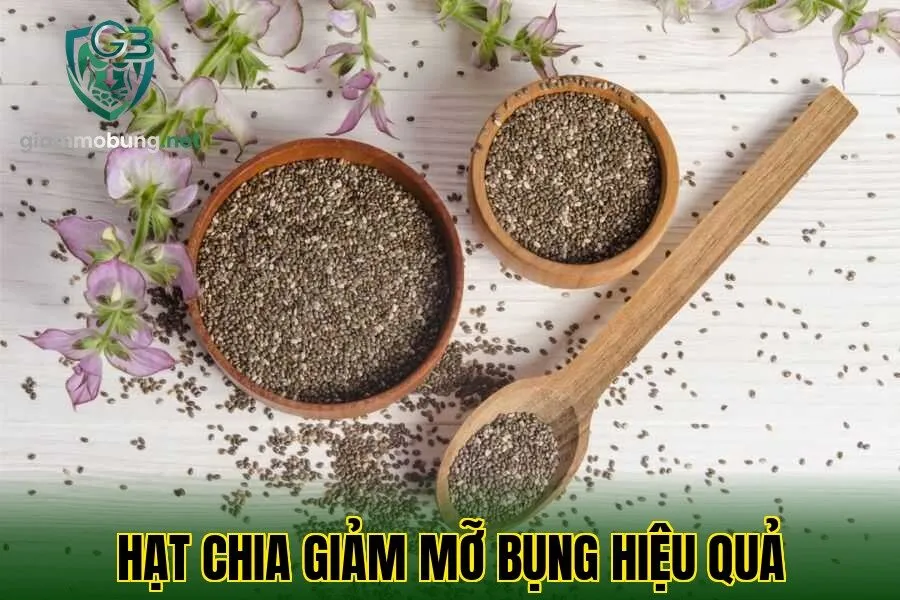 HẠT CHIA GIẢM MỠ BỤNG HIỆU QUẢ